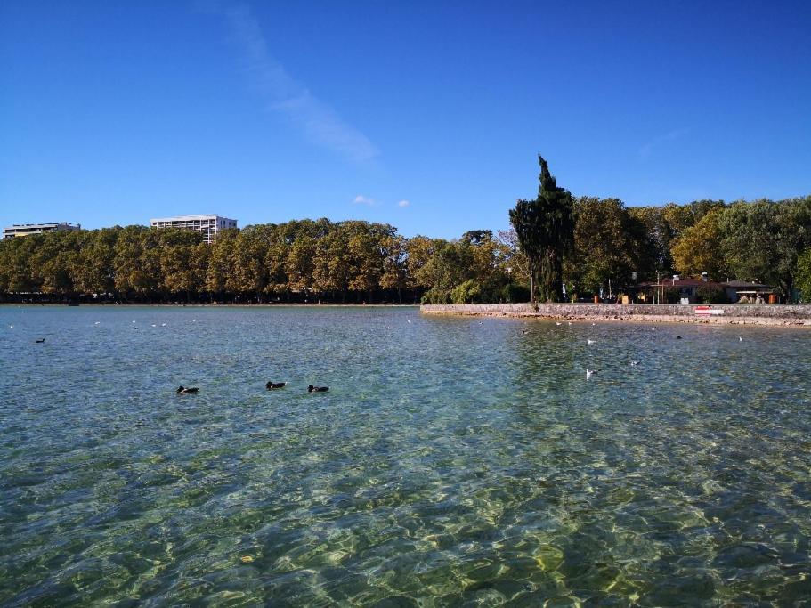 Studio Moderne, Place Parking Prive, Emplacement Ideal A 100 M Du Lac. 안시 외부 사진